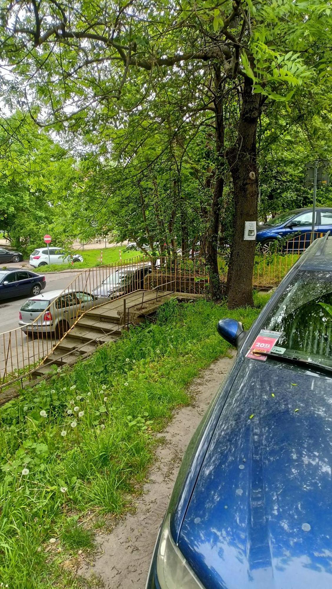 Drzewna Apartamenty - Wladyslawa Zielona Góra Zewnętrze zdjęcie