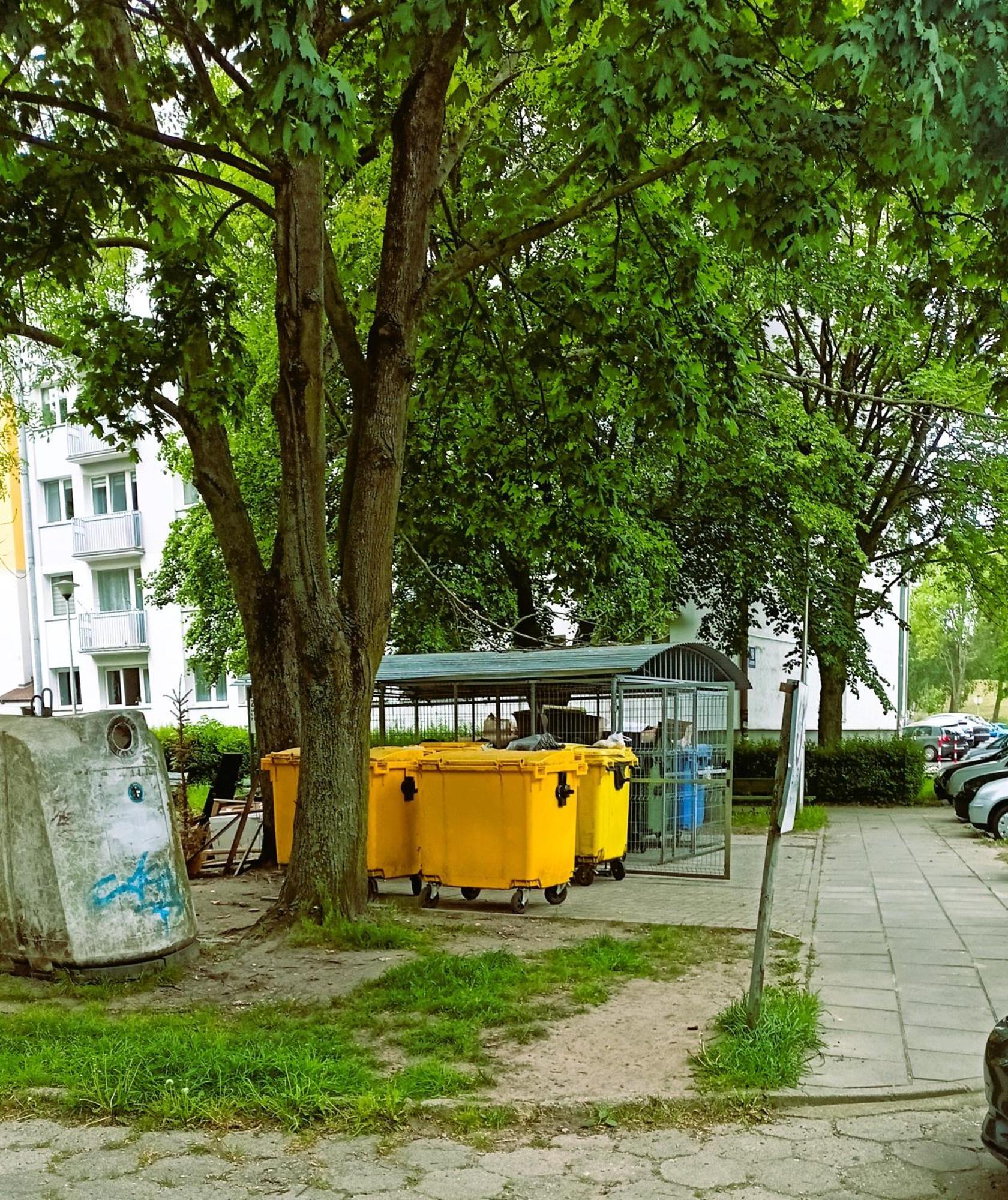 Drzewna Apartamenty - Wladyslawa Zielona Góra Zewnętrze zdjęcie